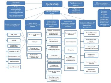 структура управления